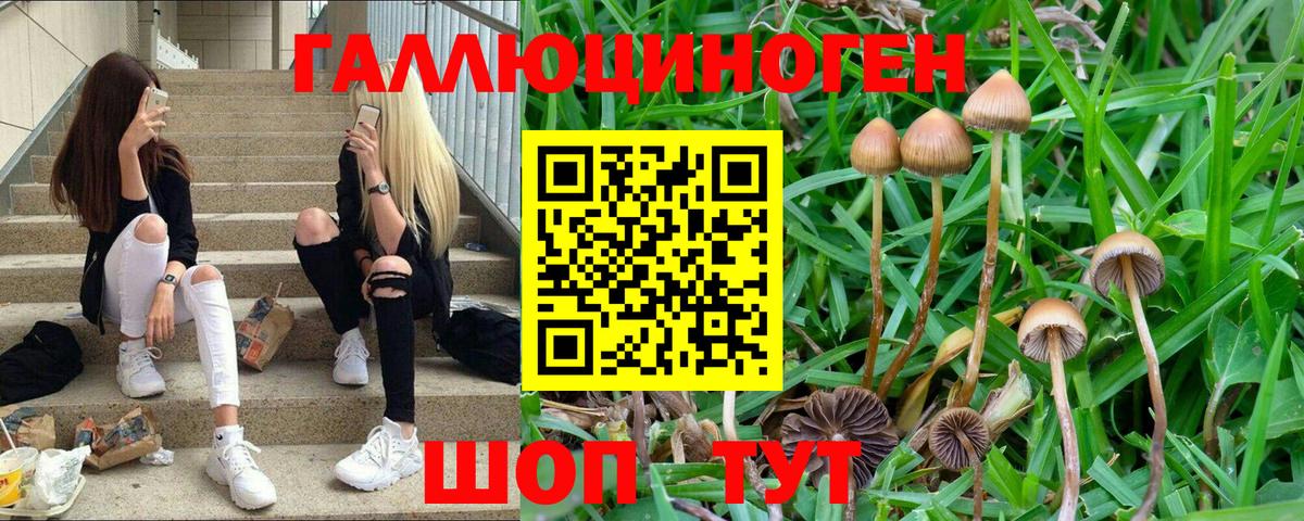 Псилоцибиновые грибы прущие грибы  Вход с VPN  Лыткарино 