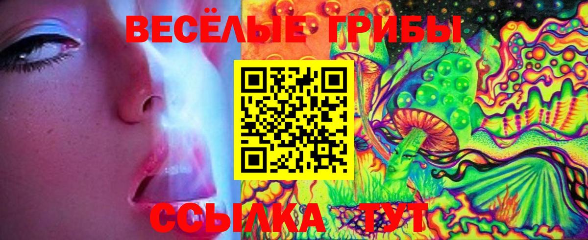 Псилоцибиновые грибы мицелий Лыткарино